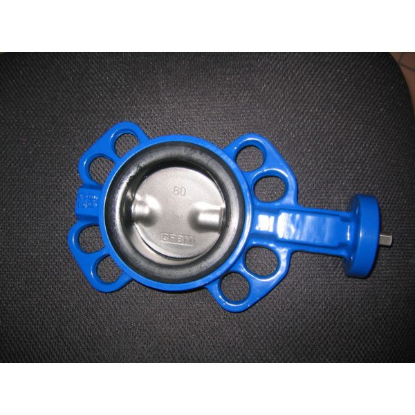 Simple and Compact Construction Two Shaft Wafer Butterfly Valve For Air, Steam, Water