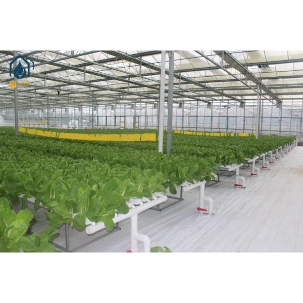 100*50mm Hydroponic Growing System Indoor NFT Hydroponic Channel Customized For Leafy Vegetables