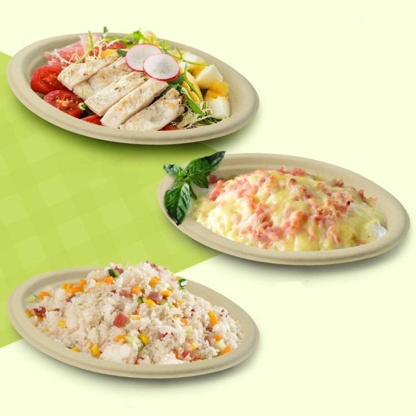 Natural Bagasse Biodegradable Oval Plate Eco Friendly Compostable Plates