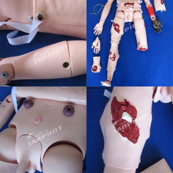 Wound Care Training Manikin for Clinics Professional Nursing Mannequin