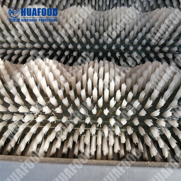 Brand New Roller Washer And Peeler Machine Hair Brush Rollers Washing With High Quality