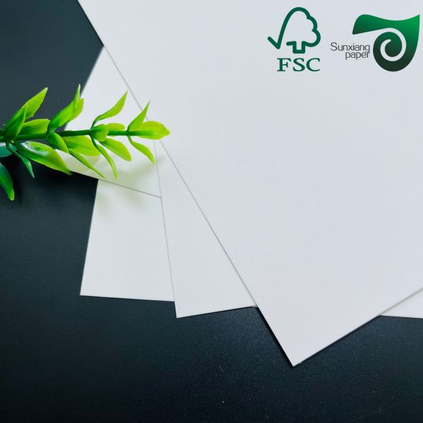 FSC 120g 150g Printable Food Grade White MG Kraft Paper Rolls For Bag Making Widths