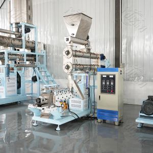 New Product Large Capacity 2-6t/h Automatic Twin screw sinking fish feed Extruder  Dog Cat Fish Pet Food Pellet Making Machine for sale