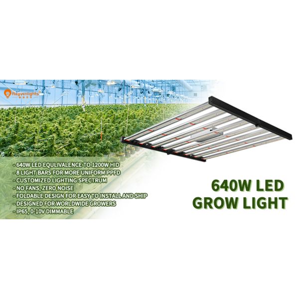 Складное полное СИД спектра 640W растет светлая Адвокатура для саженца крытых заводов прорастая