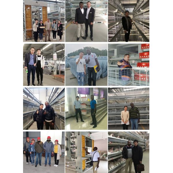 Чистка конвейерной ленты позема птицы PP птицефермы подпоясывает 1.0mm/1.2mm