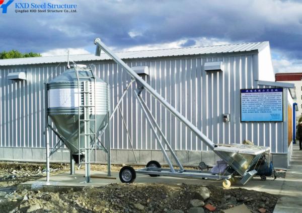 Chambre de volaille en acier pour élevage de poulets - Tailles personnalisées disponibles