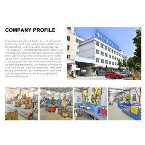 Foshan Sampo Lighting & Electrical Co., Ltd.