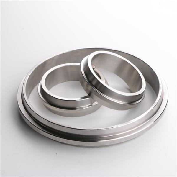 OEM Heat Resistant Stainless Steel Wellhead Gasket