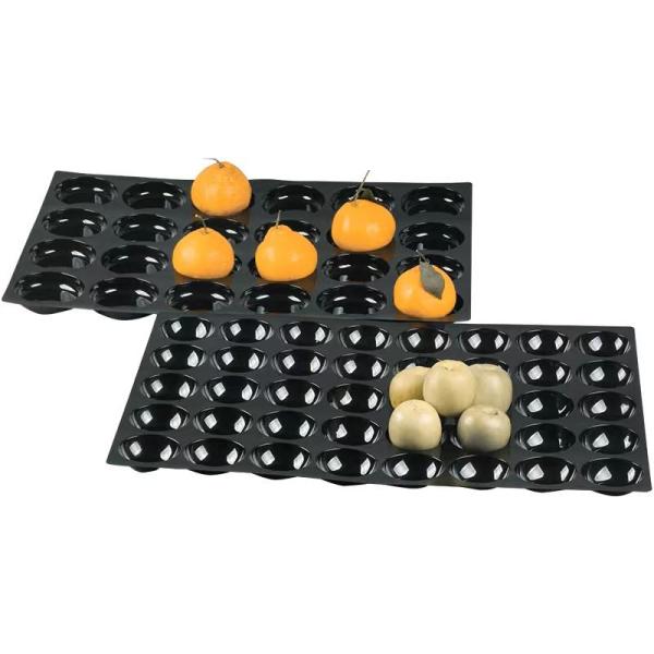 9 25 28 30 hole disposable pp black fruit tray plastic blister PET display kiwi/pitaya plastic tray for supermaket