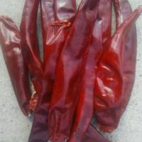 8% Humidade Chilli Ring Cut Forte Chilli pungente sabor alto polido 0,5 - 1,5 cm