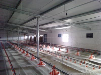 2.2KW Automatic Broiler Feeding System Pan Feeder Poultry For Farms
