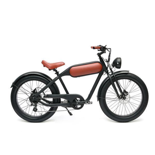 48V750W Bafang Motor Electric Bike DOMANCA Customized Fat Tire Electric Motorcycle
