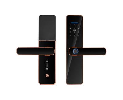 Conveniente e Automático Tuya Wifi Lock TTlock BLE impressão digital Password Card Key