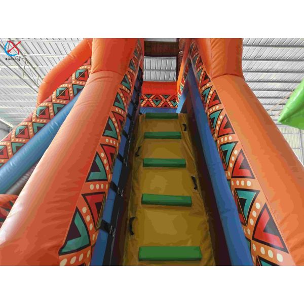 Inflatble Exotic Bouncy House With Internal Slide Combo Jumping Castle