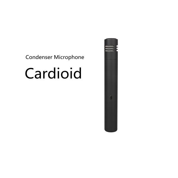 Handheld Karaoke XLR Cable Microphone 12mv / PA Clear Voice Matte Black