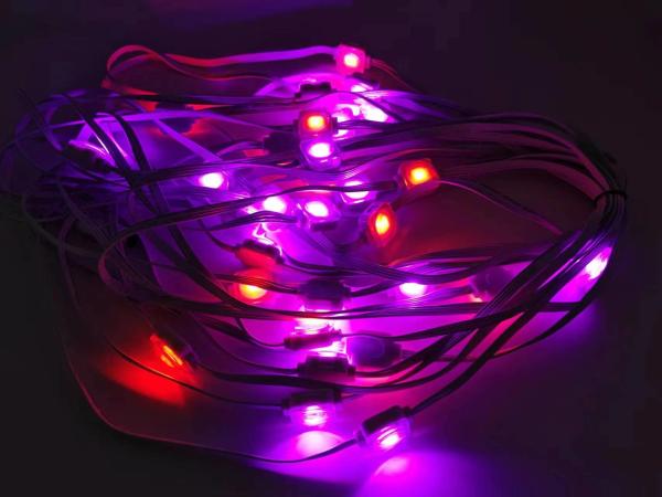 20mm RGB LED ピクセル アドレス可能な点灯 恒久的な休日 葉面 クリスマスライト