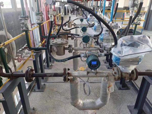 Make Flow Error Free Coriolis Mass Flowmeter Perfect Combination Of Precision And Efficiency