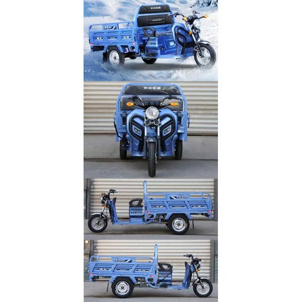 Charge Time h 3-5h Three Wheel Commercial Electric Truck Tricycle in Pakistan