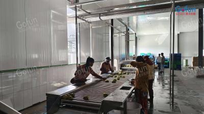 Custom Tomato Processing Line for Paste Sauce Juice Production