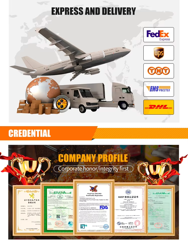 OEM Brand 2200g +70g Canned Tomato Paste 6 Tins Each Organic for Cooking