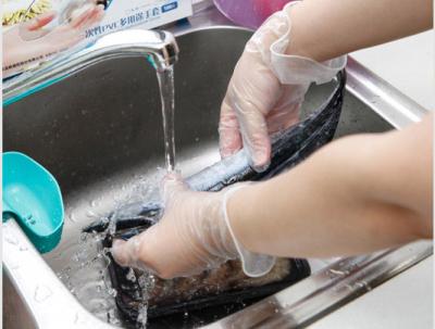Food Grade Powder Free Disposable Vinyl Gloves For Foodservice ISO13485 Approved