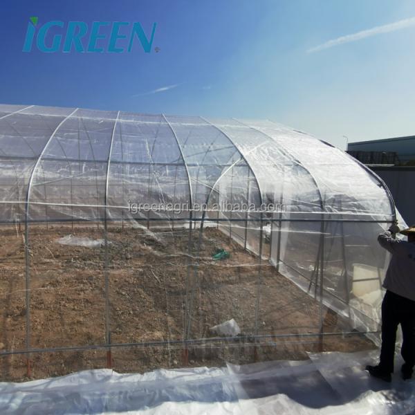 Small Scale Farming Single Span Greenhouse Customize Plastic Film Greenhouse
