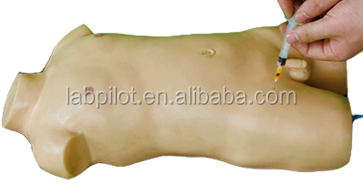 Multiple Veins Puncture Training Simulator Central Venous Catheterization Torso Model