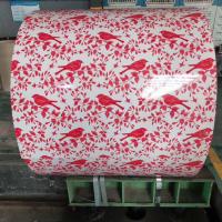 Boxing Color Steel Steel Coil Sheet Prepainted PPGL Galvanized