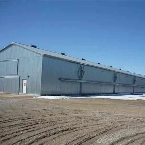 Prefab Steel Poultry Shed Light Structure Q235B Q355B