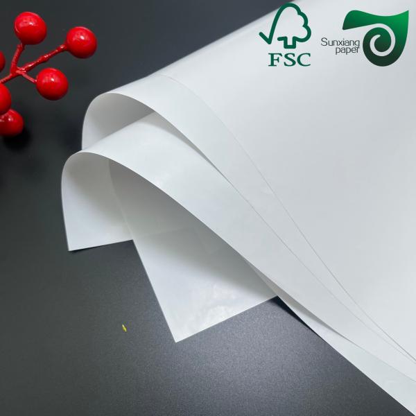FSC 250g 260g RC Satin Inkjet Photo Paper Roll Pigment Ink Compatible 24 44 100ft
