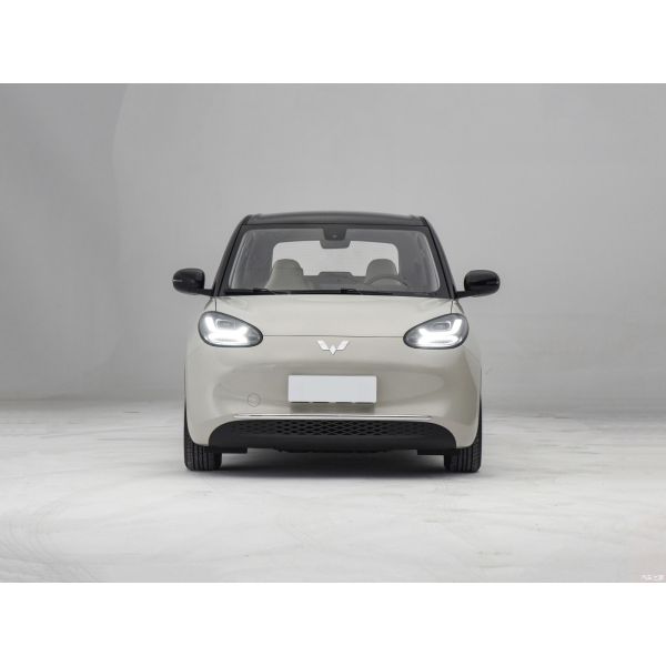 2023 Wuling Bingo Mini EV CLTC 333km Five-Door Four-Seat Energy Small Pure Electric Car