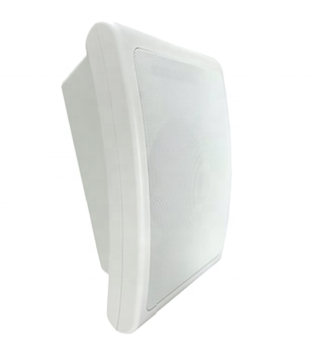 6W 3W 6 Inch Woofer Speaker Dual Cone Pa Speaker Wall Mount