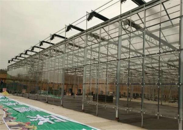 Venlo Type Toughened Glass Greenhouse Hot Galvanized Steel Skeleton Material