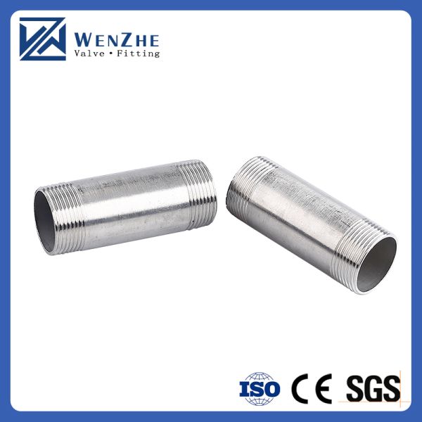 Stainless Steel SS304/SS316 Pipe Male Thread Coupling Customized for ODM Requirements