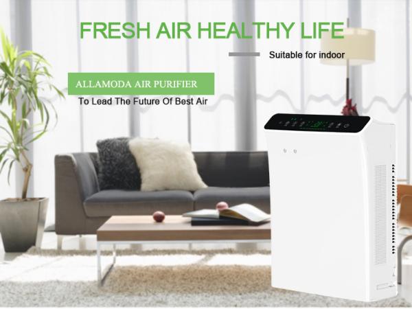 60Hz Hepa Filter UV Light Air Purifier ODM RoHS Dust Free Carbon