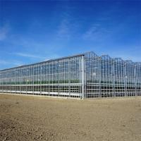 Sistema hidropónico Vegetal Venlo Invernadero de vidrio Ventilación totalmente automatizada
