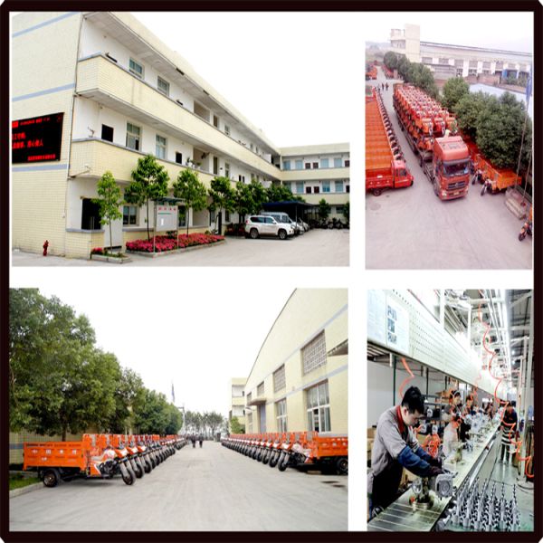 Трицикл 3 взрослого груза электрический катит апельсин Уилера китайца 3 мотоцикла