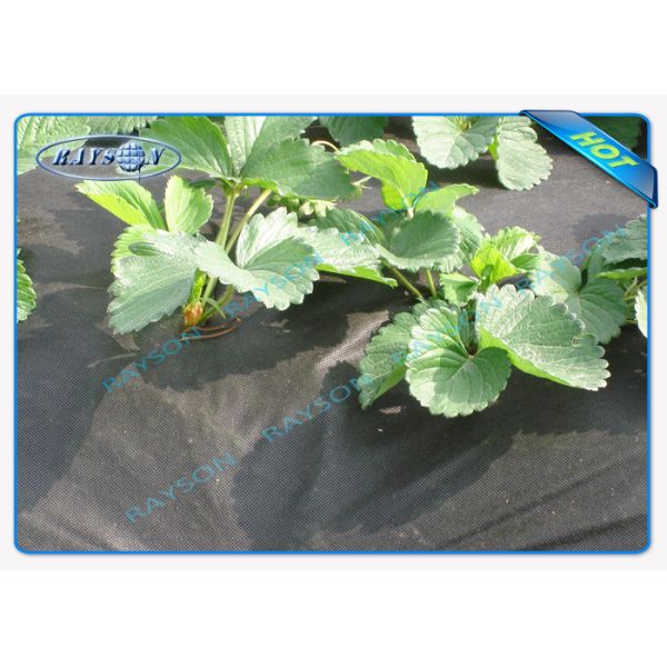 Seasameの点PPの農業非編まれたカバー非編まれた生物分解性