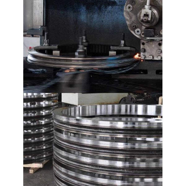 Maanshan Zhuoli Machinery Technology Co., Ltd.