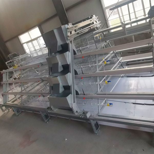 Hot Galvanized A Type Broiler Baby Chick Cage  For Automatic Rearing