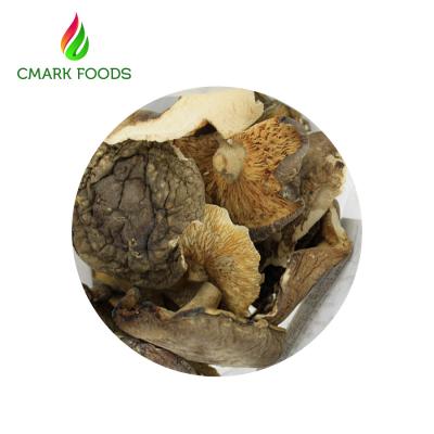 Cogumelos selvagens secados B secados da categoria dos cogumelos de ostra do alimento gourmet