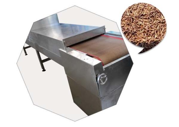Black Soldier Fly Larvae Microwave Drying Machine With Stainless Steel Material