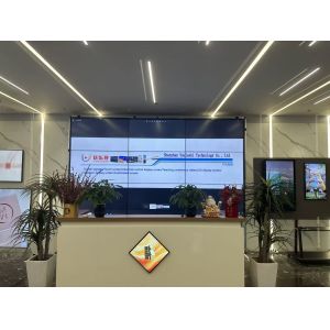 Shenzhen Youleshi Technology Co., Ltd