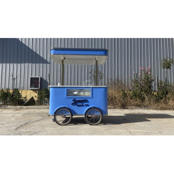 Mobile Gastronomy Unveiled Exploring the World of Tricycle Food Carts