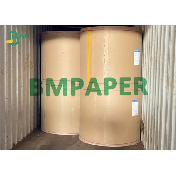 300gsm 320gsm PE Coated Cup Raw Material Paper Roll For Hot Tea крен бумаги сырья чашки 300gsm 320gsm покрытый PE для горячего чая