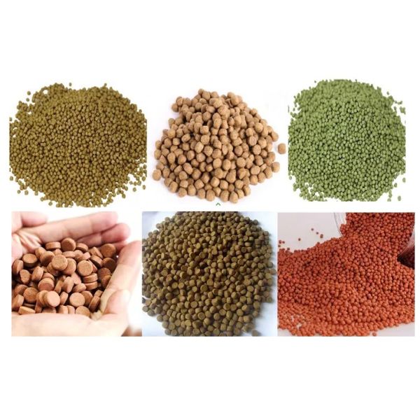 Сухой тип штрангпресс 100kg/H-6t/H питания рыб винта двойника