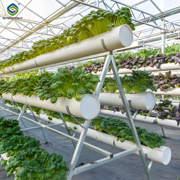 Weather Resistance Hydroponic System Greenhouse Multispan For Planting