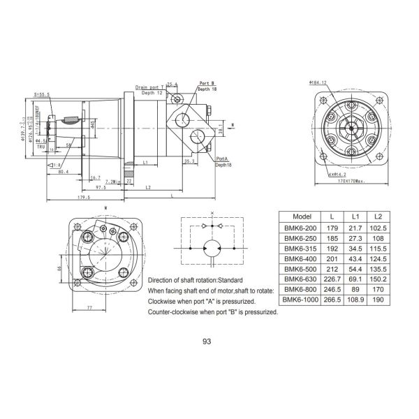 Eaton Charlynn 113-1163-006 Replacement 500cc With Wheel Mount 1:8 45mm Tapper Shaft