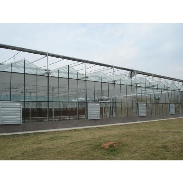 Galvanized Steel Pipe Multi Span Greenhouse Vegetable Greenhouse Kits For Winter Cover