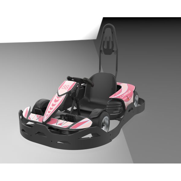 Быстрая обязанность электрическая идет Kart Pro с 4 колесами управляет скоростью мест взрослой быстрой